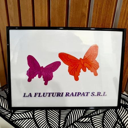 La Fluturi Apartament Apartment Сучеава Екстериор снимка